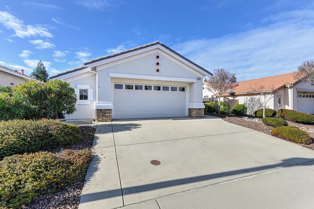 Single-story home with a white garage door, broad driveway, and landscaped front yard.