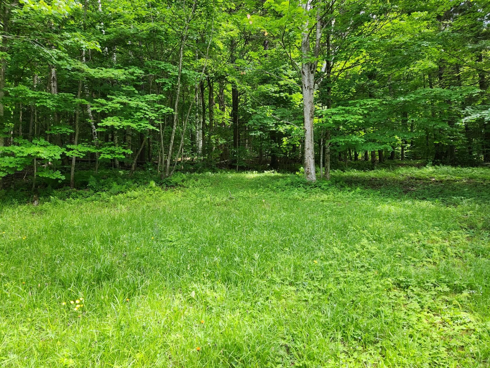 3639 Plot Road