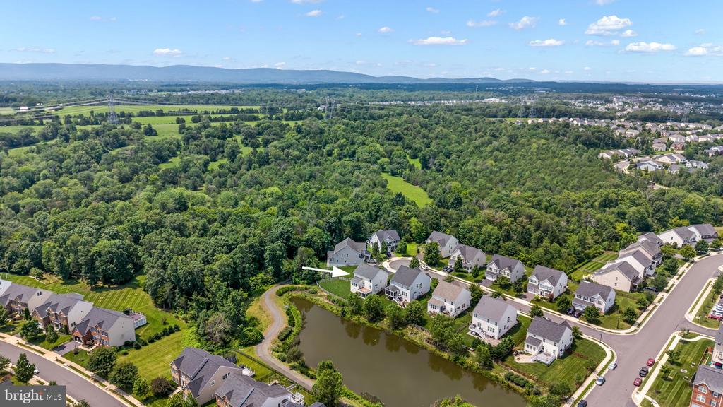 41833 WALDEN KNOLL COURT