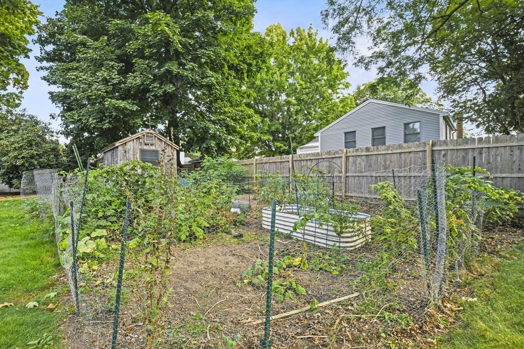 268 Torrey Street