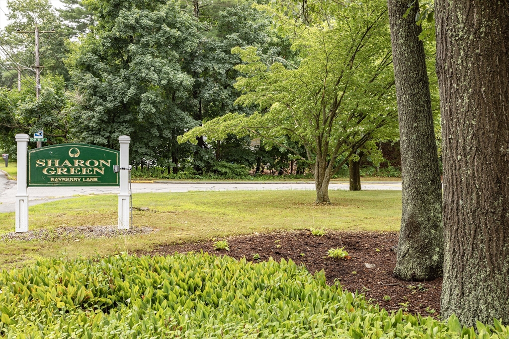 25 Bayberry Drive # 3