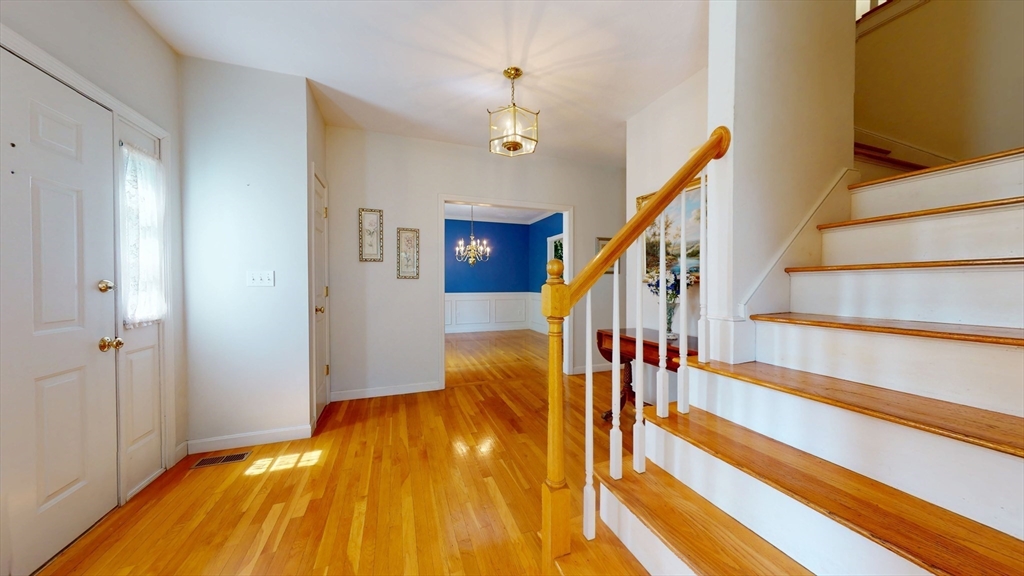 225 Daniels St
