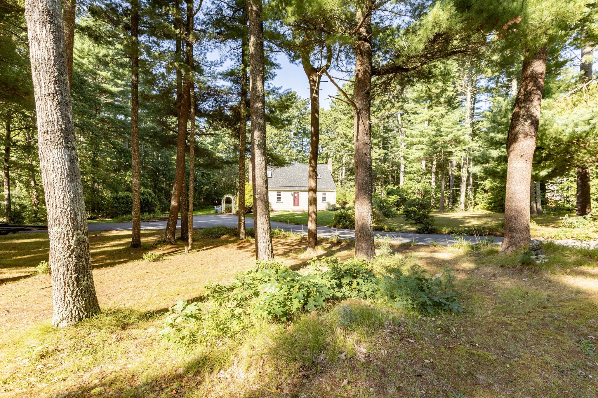 133 Walnut Plain Rd