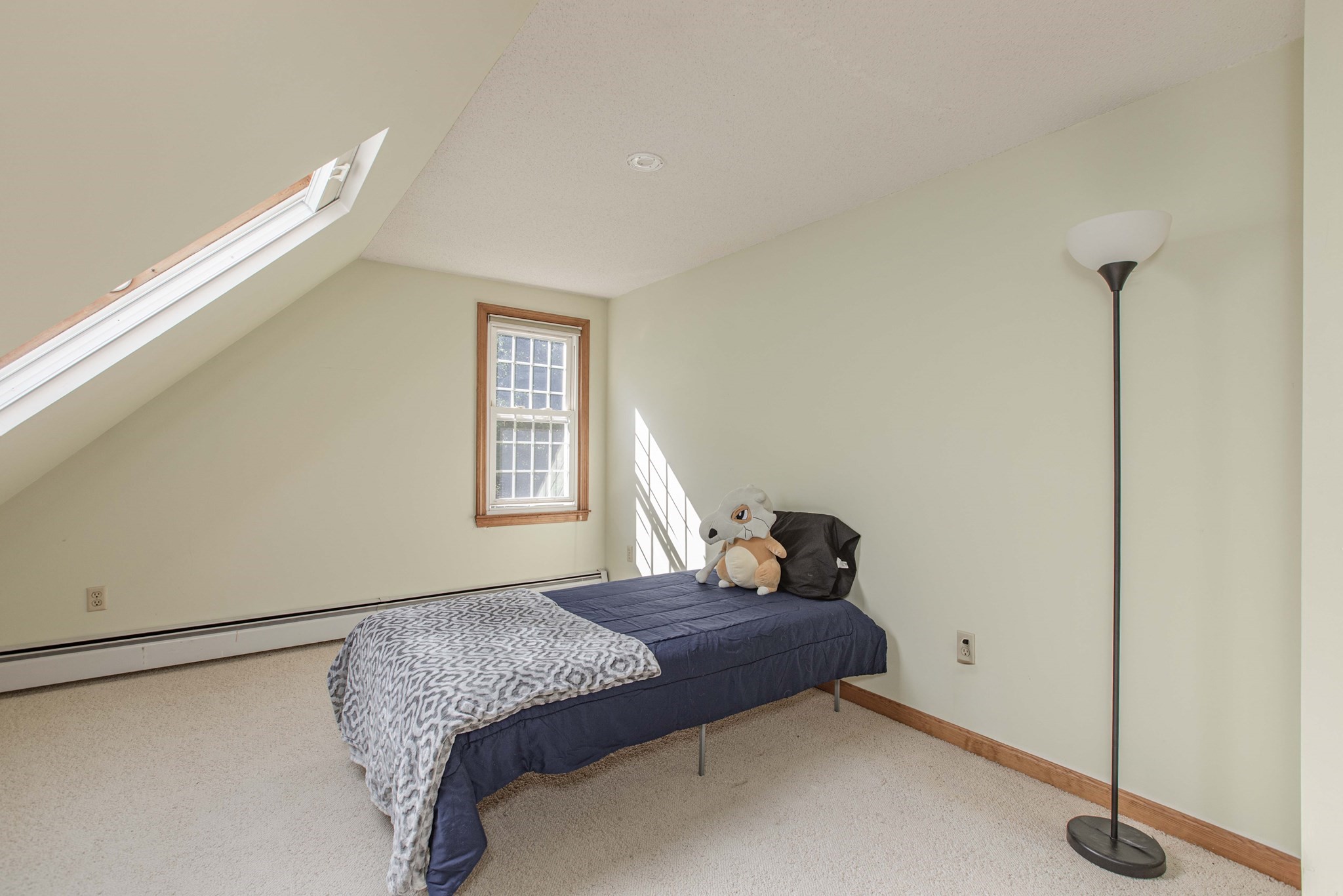 133 Walnut Plain Rd