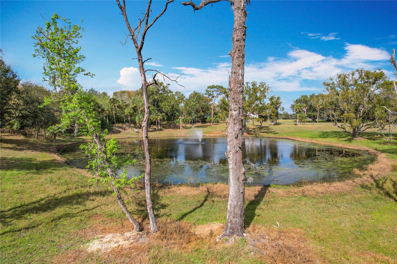 Picturesque 6.3-Acre Property in Geneva