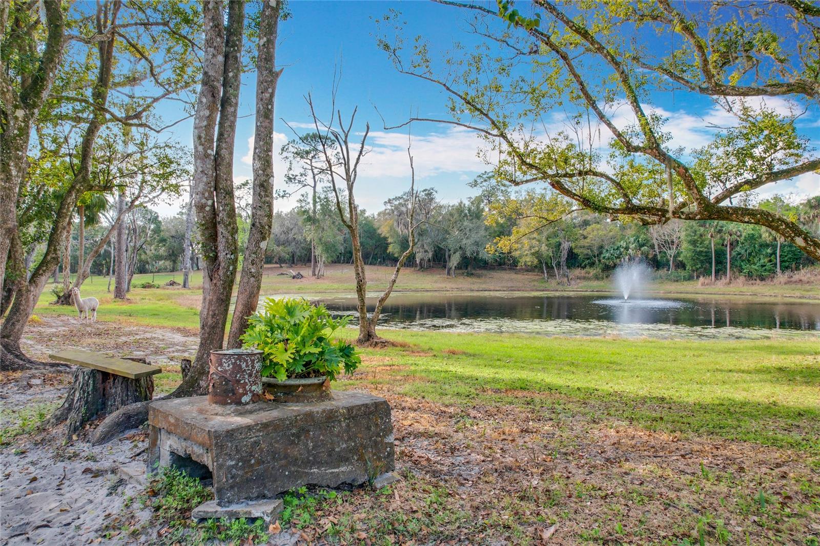 Picturesque 6.3-Acre Property in Geneva