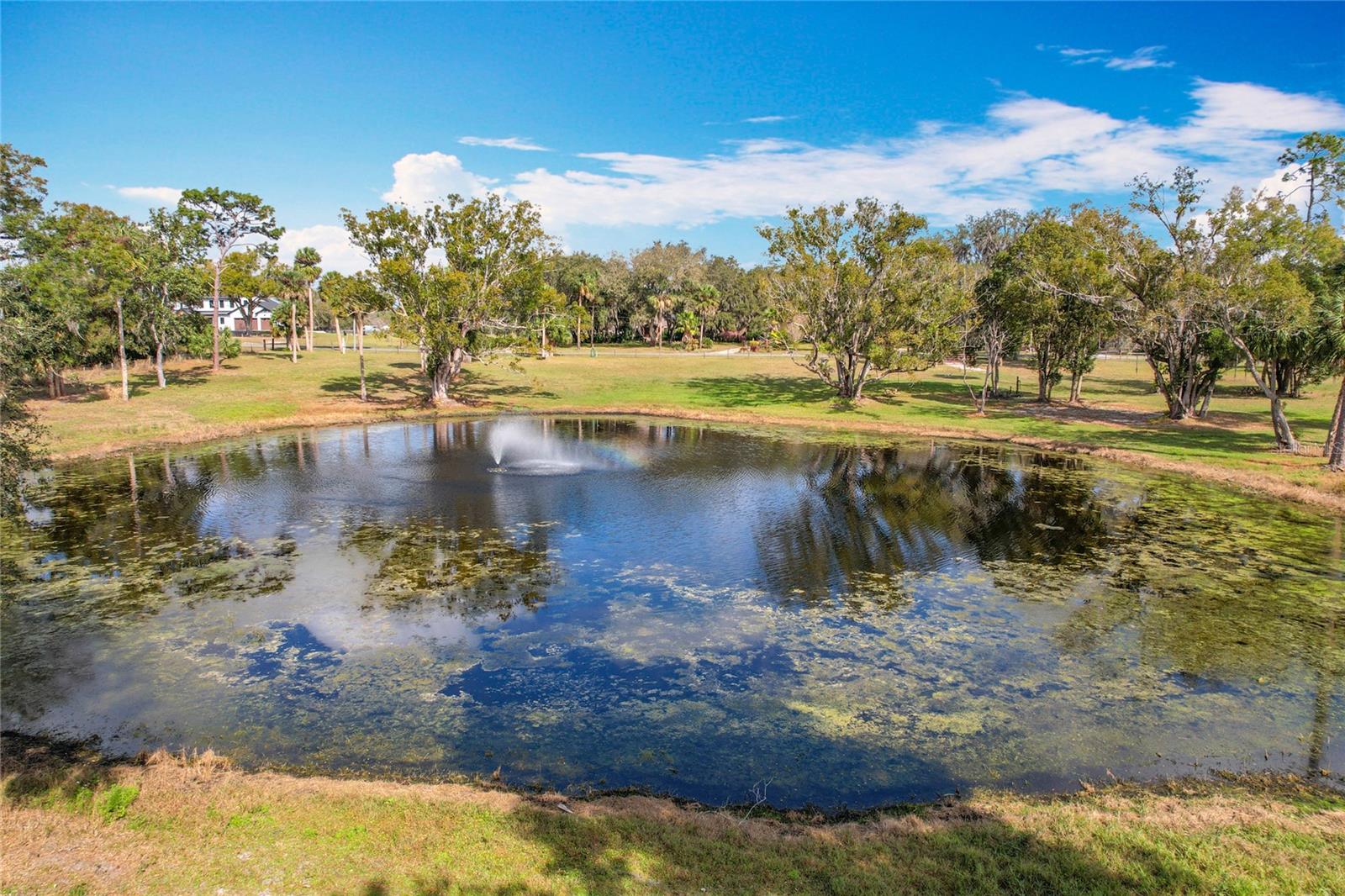 Picturesque 6.3-Acre Property in Geneva