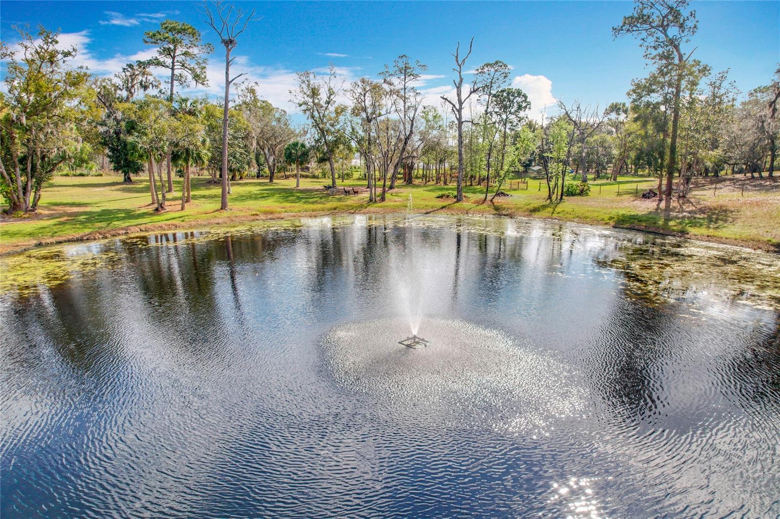 Picturesque 6.3-Acre Property in Geneva