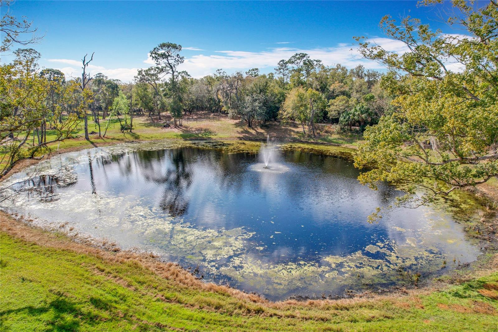 Picturesque 6.3-Acre Property in Geneva