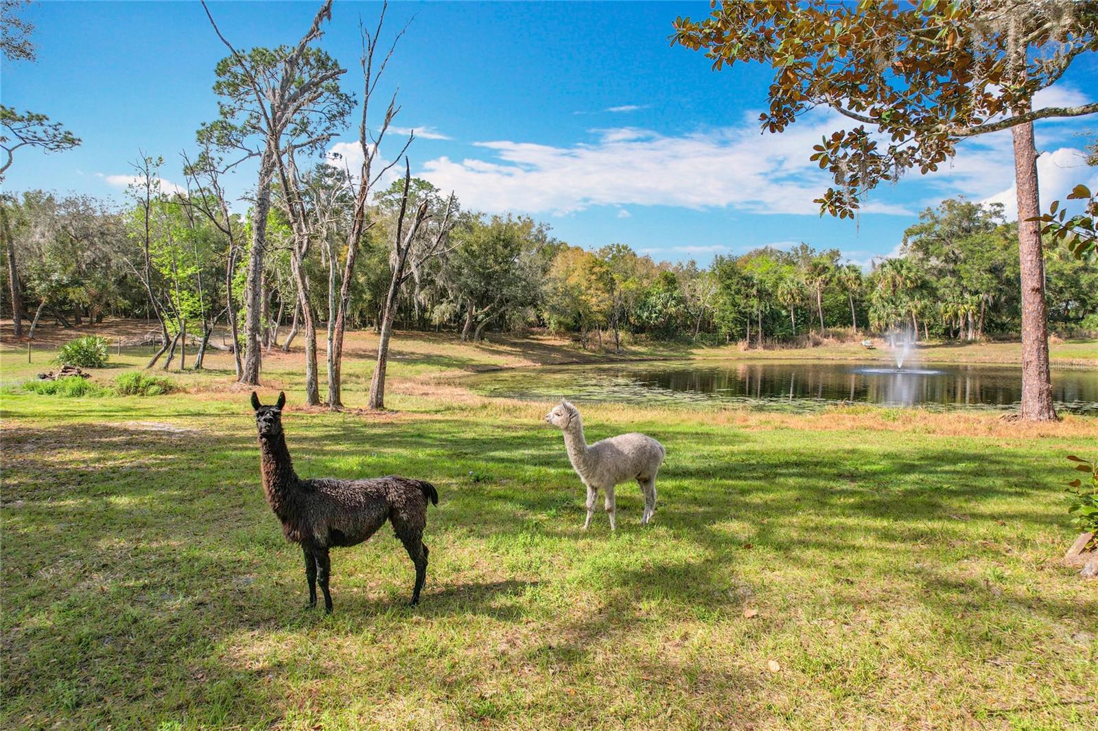 Picturesque 6.3-Acre Property in Geneva