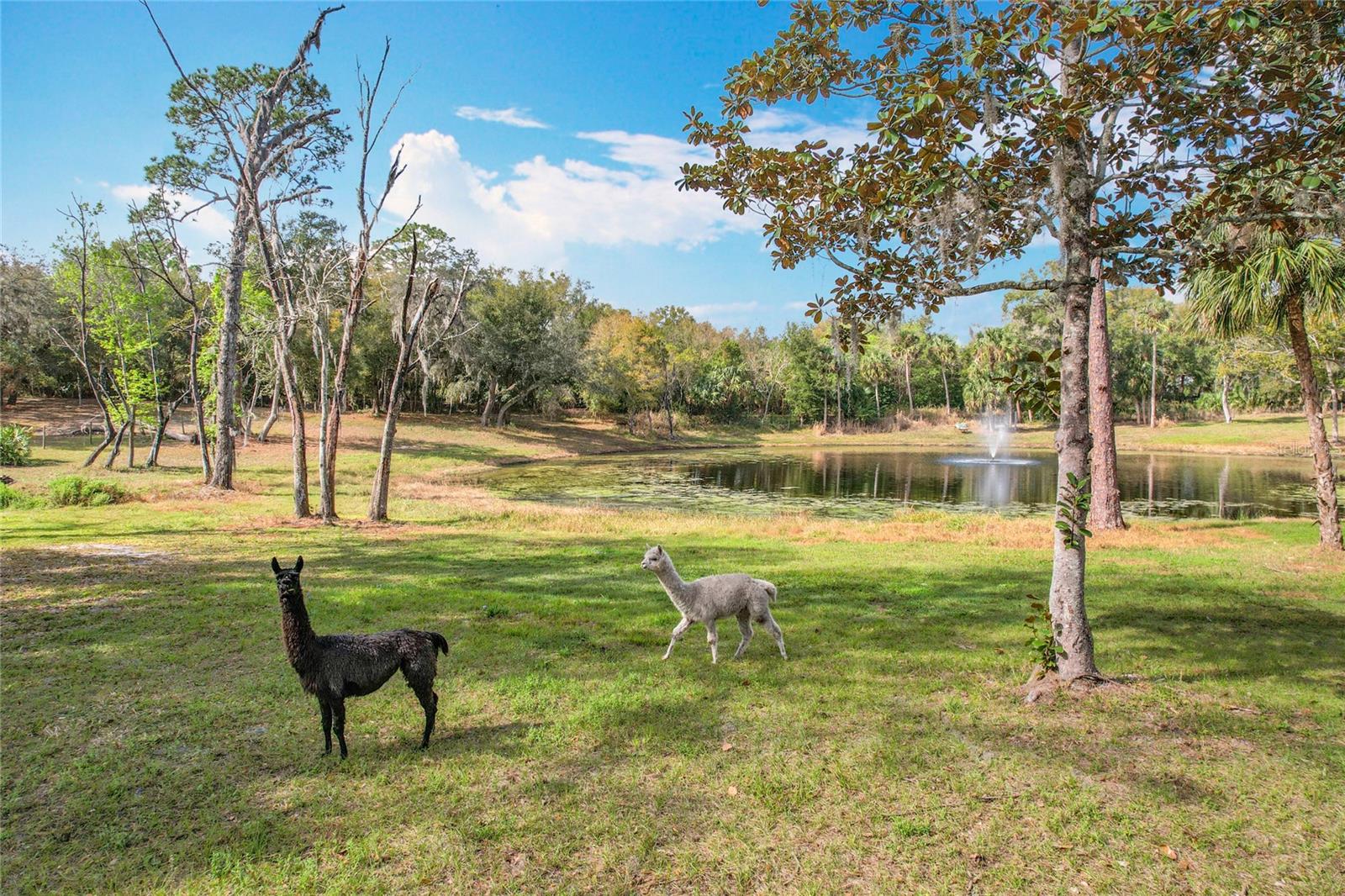 Picturesque 6.3-Acre Property in Geneva
