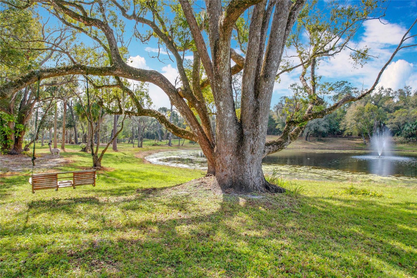 Picturesque 6.3-Acre Property in Geneva