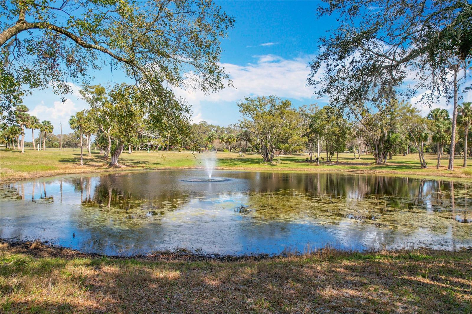 Picturesque 6.3-Acre Property in Geneva