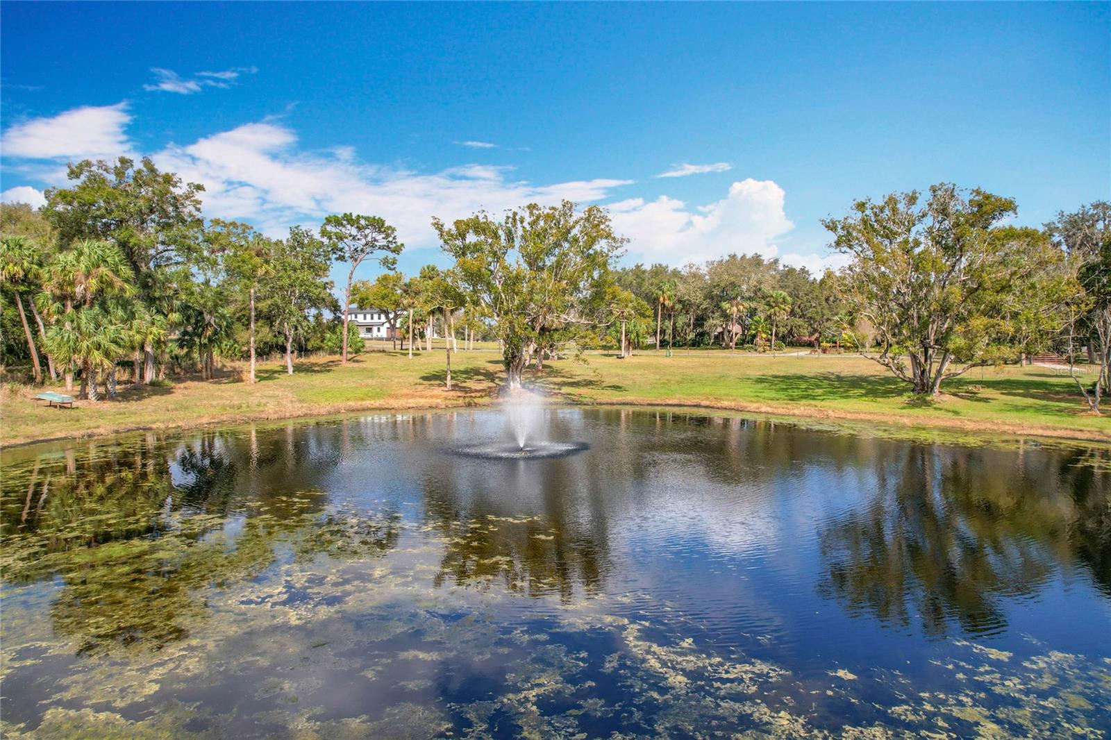 Picturesque 6.3-Acre Property in Geneva