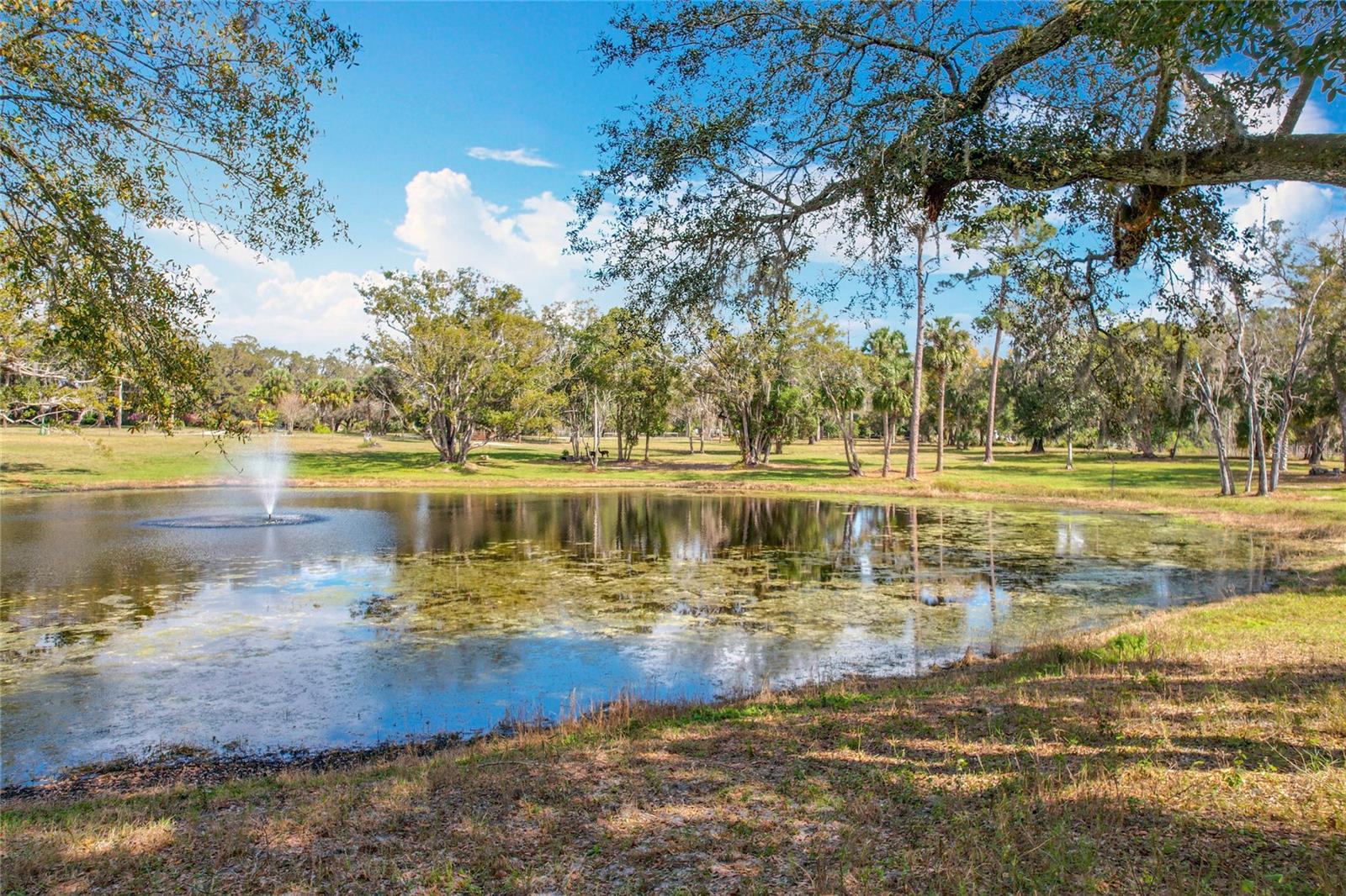 Picturesque 6.3-Acre Property in Geneva