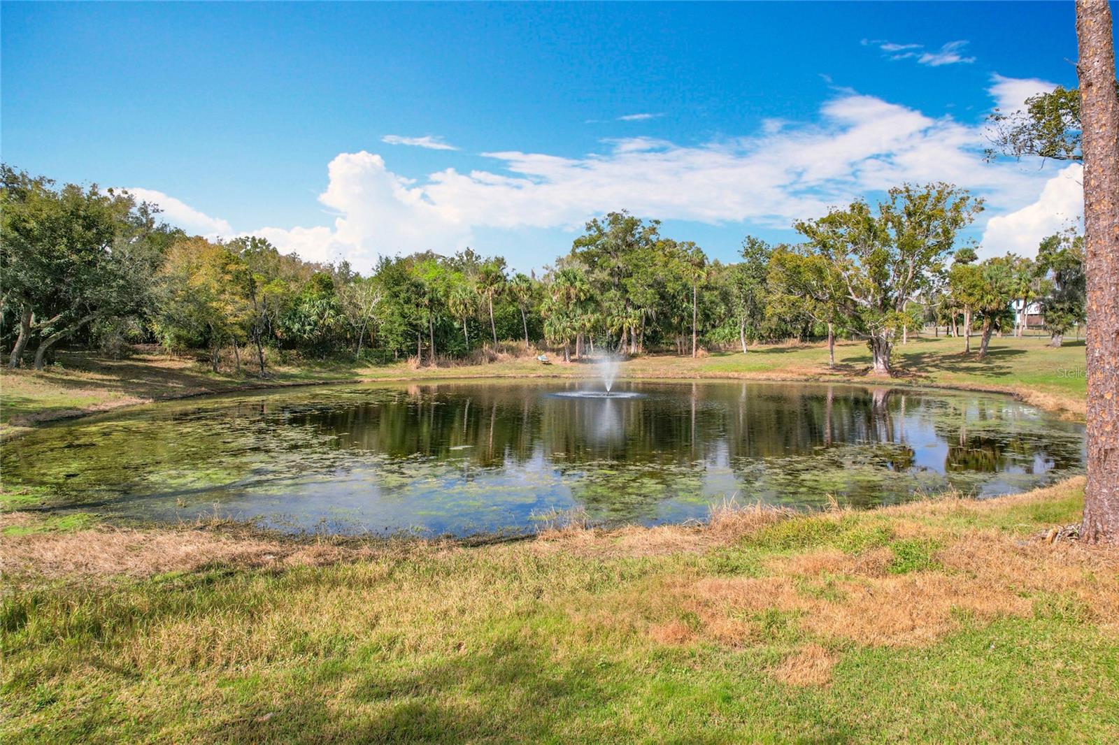 Picturesque 6.3-Acre Property in Geneva