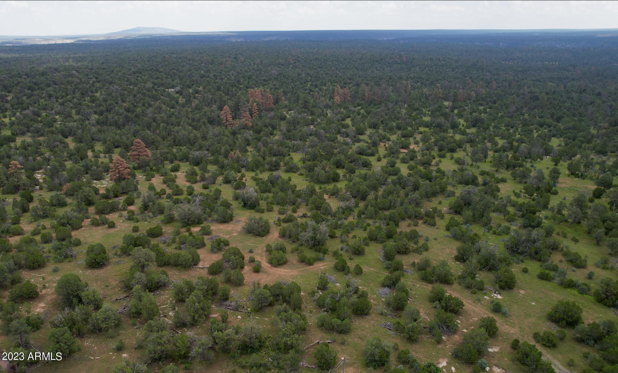 8600 HAVEN CREST Drive # 226