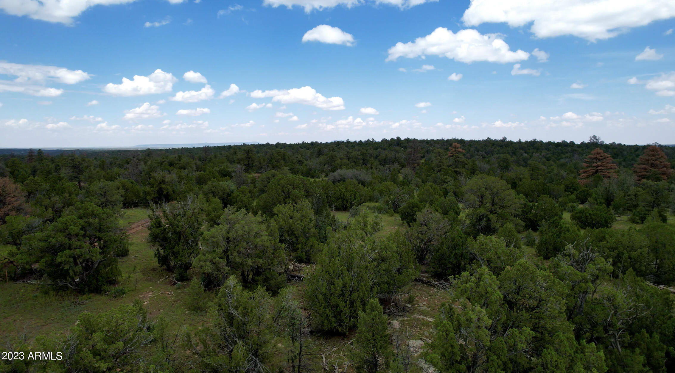 8600 HAVEN CREST Drive # 226