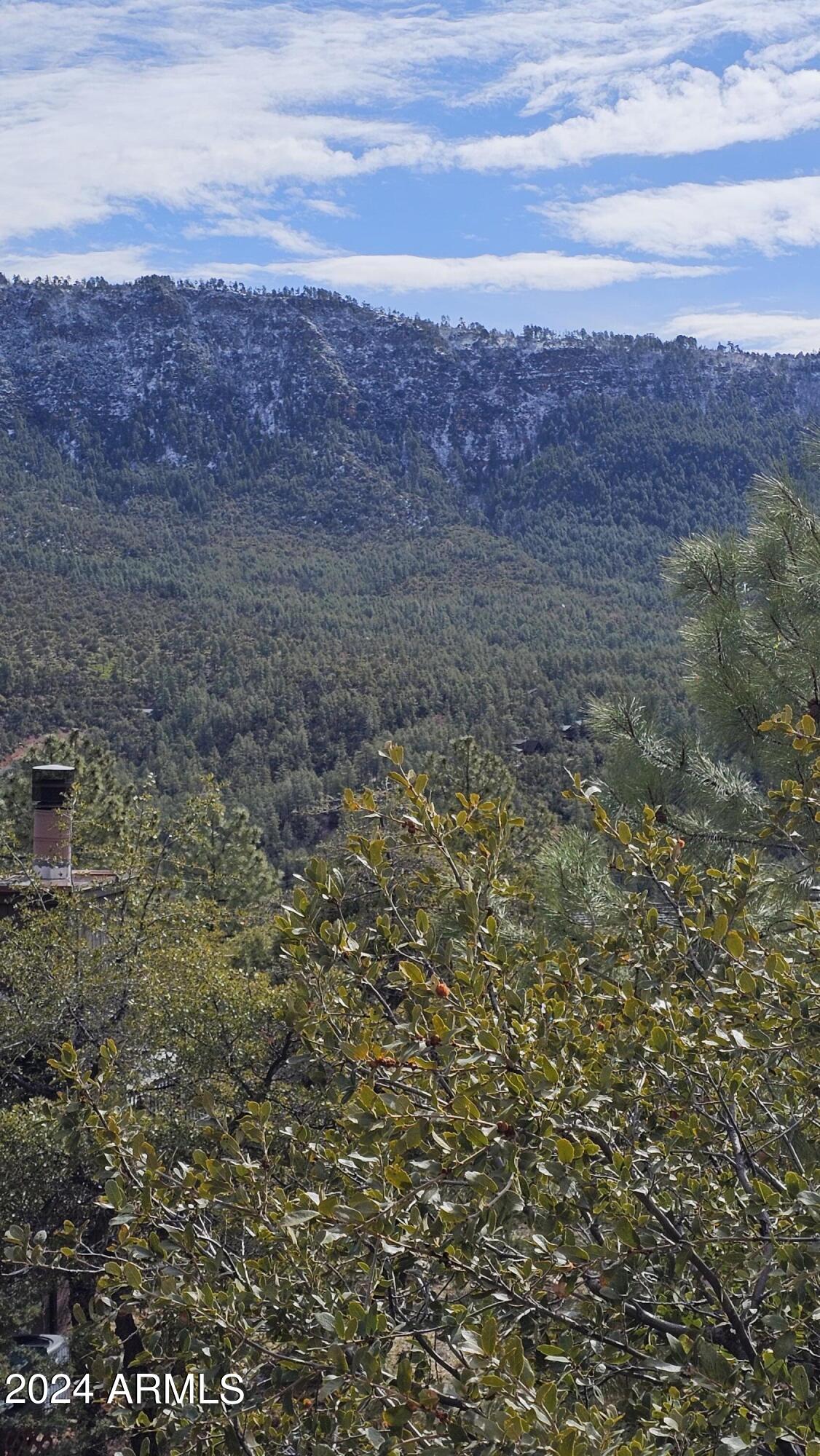 4783 N RIM VISTA Drive