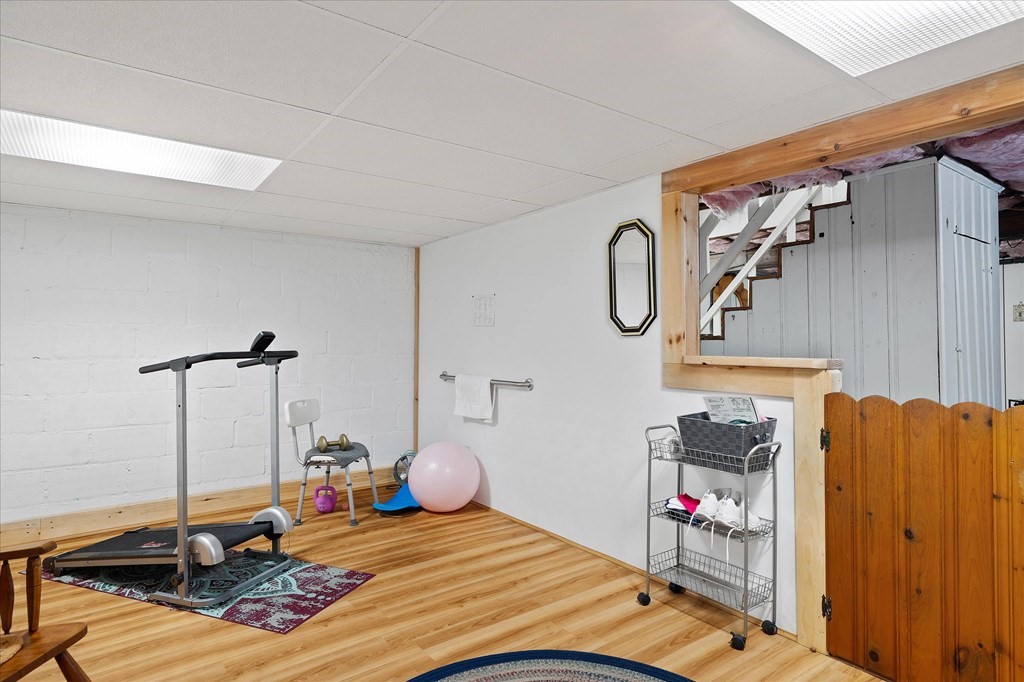 Basement exercise room with wood-look flooring, a treadmill, and a pink exercise ball.