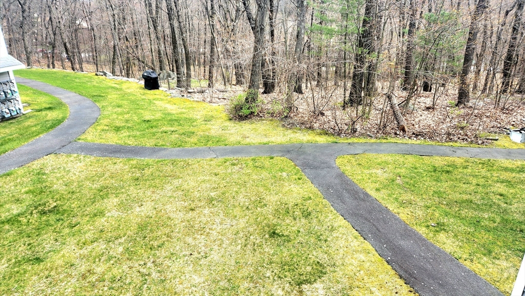 Grassy residential grounds with intersecting paved paths beside leafless woods.
