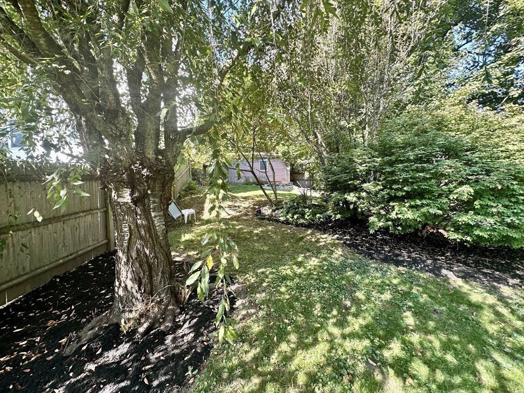 Backyard with mature trees, a fenced lawn, landscaped shrubs, and a small shed.