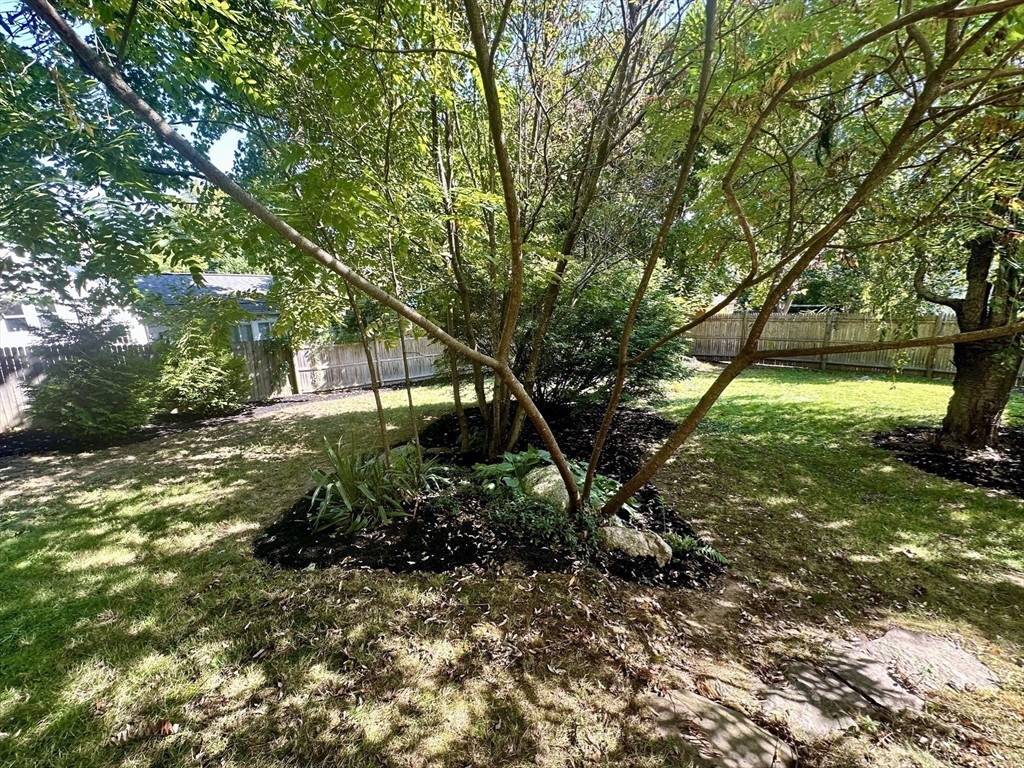 Backyard with a mature tree in a mulched garden bed, lawn, and wooden privacy fence.