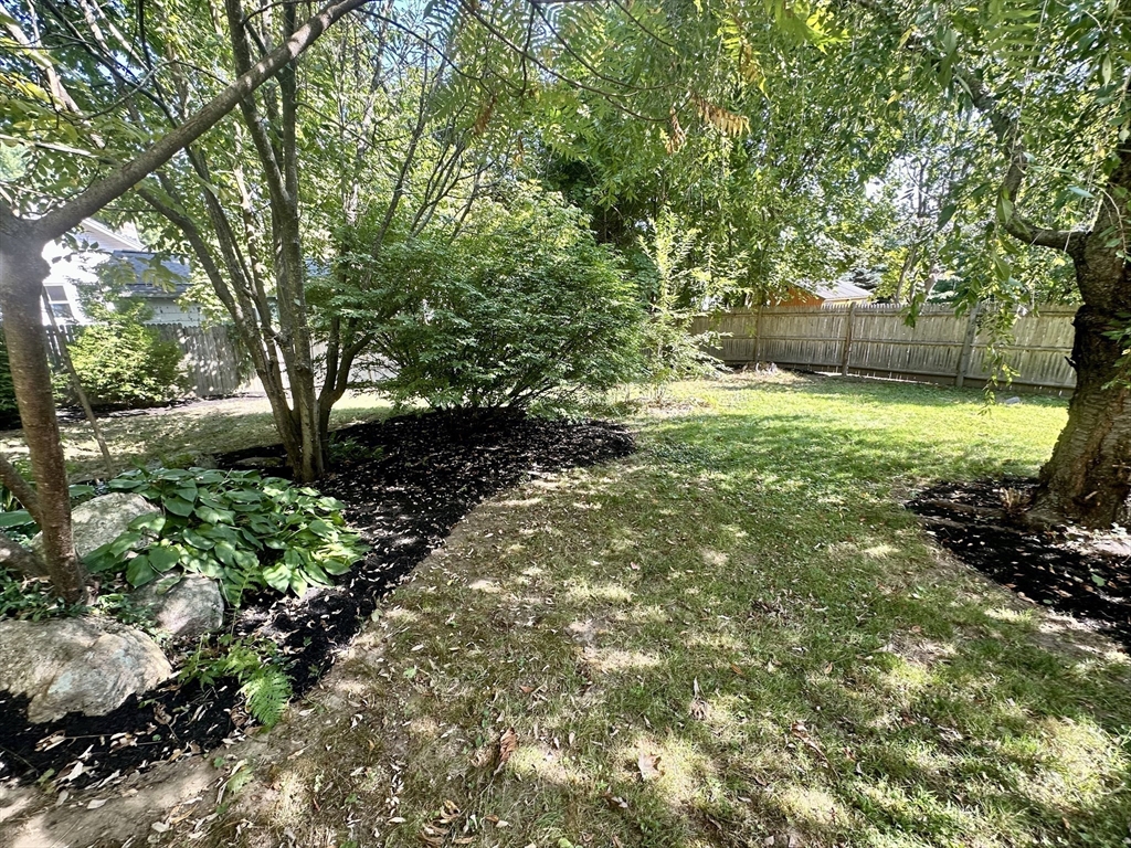 Backyard with a grassy lawn, mature trees, landscaped beds, and a wooden privacy fence.