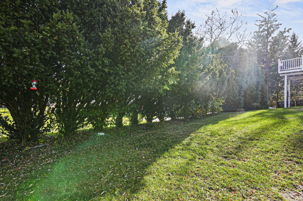 48 Forest Ave # 2