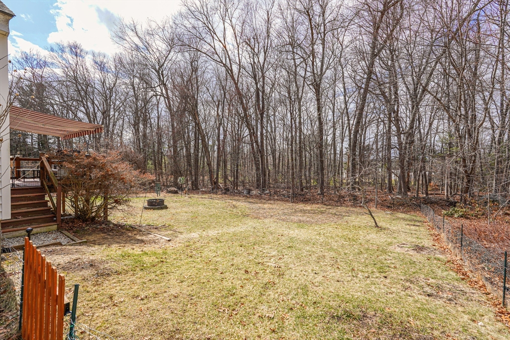 49 Homestead Road