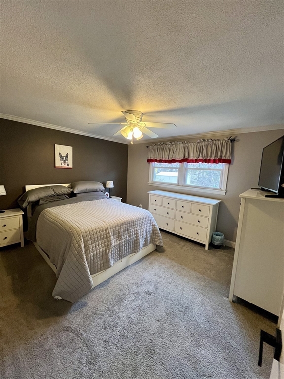 82 Larned Rd