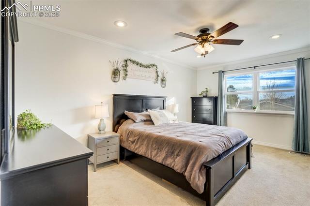 6145 Little Johnny Drive