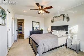 6145 Little Johnny Drive