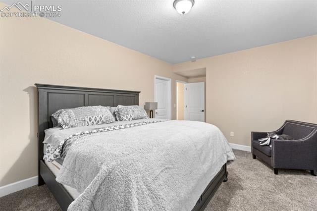 10803 Warm Sunshine Drive