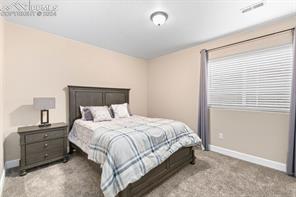 10803 Warm Sunshine Drive