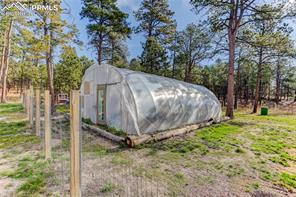 9920 Hodgen Road