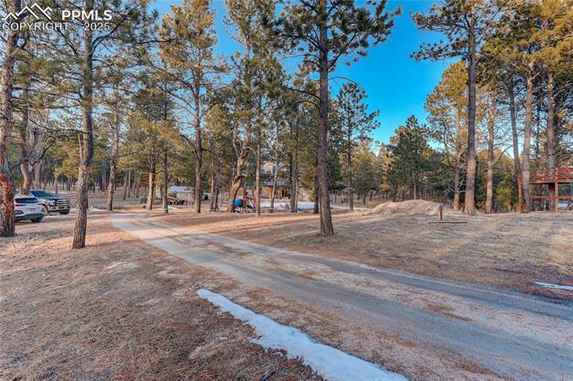 9920 Hodgen Road