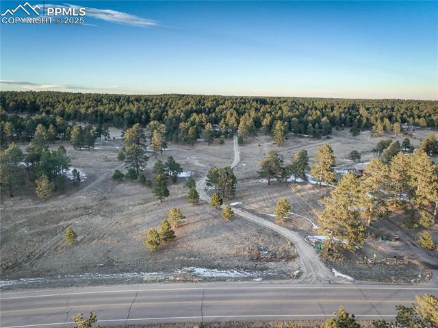 9920 Hodgen Road