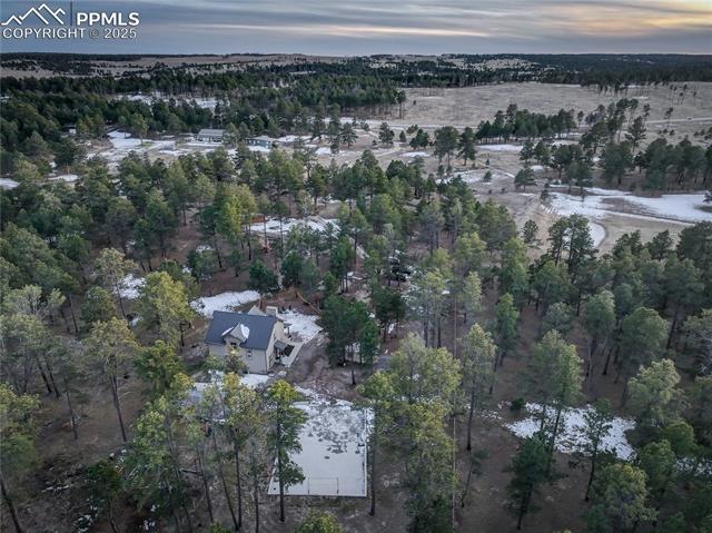 9920 Hodgen Road