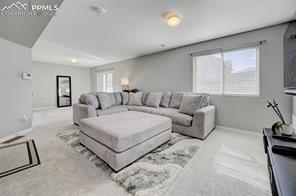 6131 Mineral Belt Drive