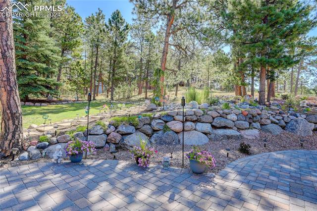 15895 Wildhaven Lane