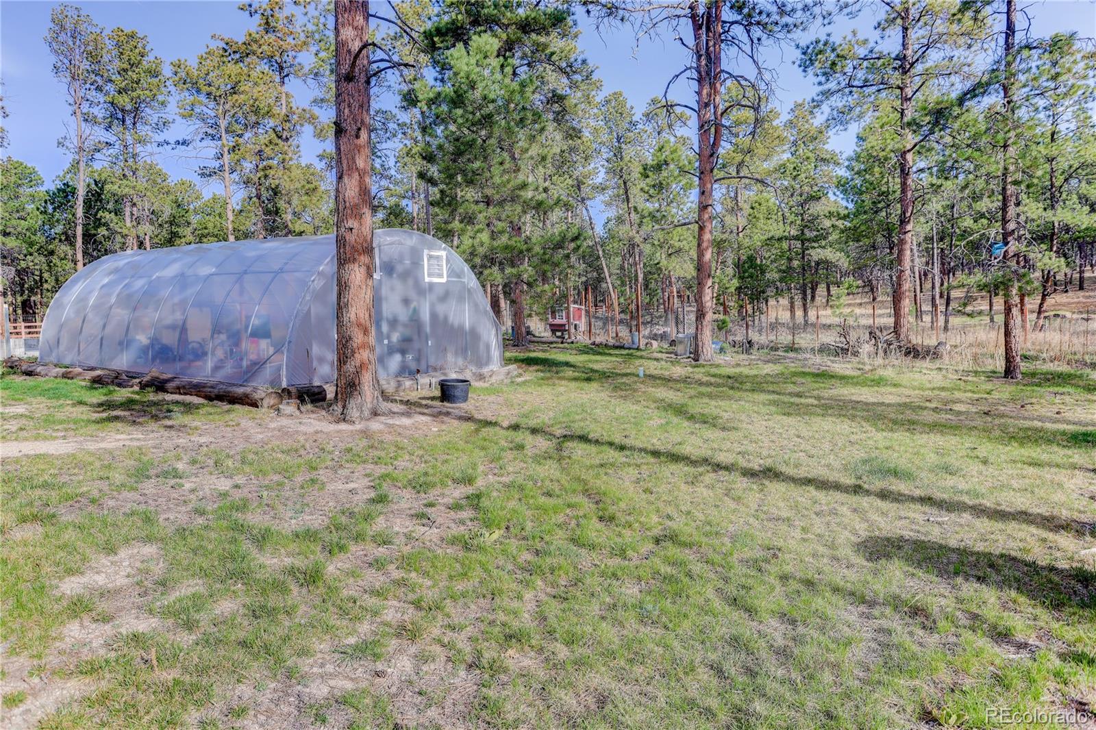9920 Hodgen Road