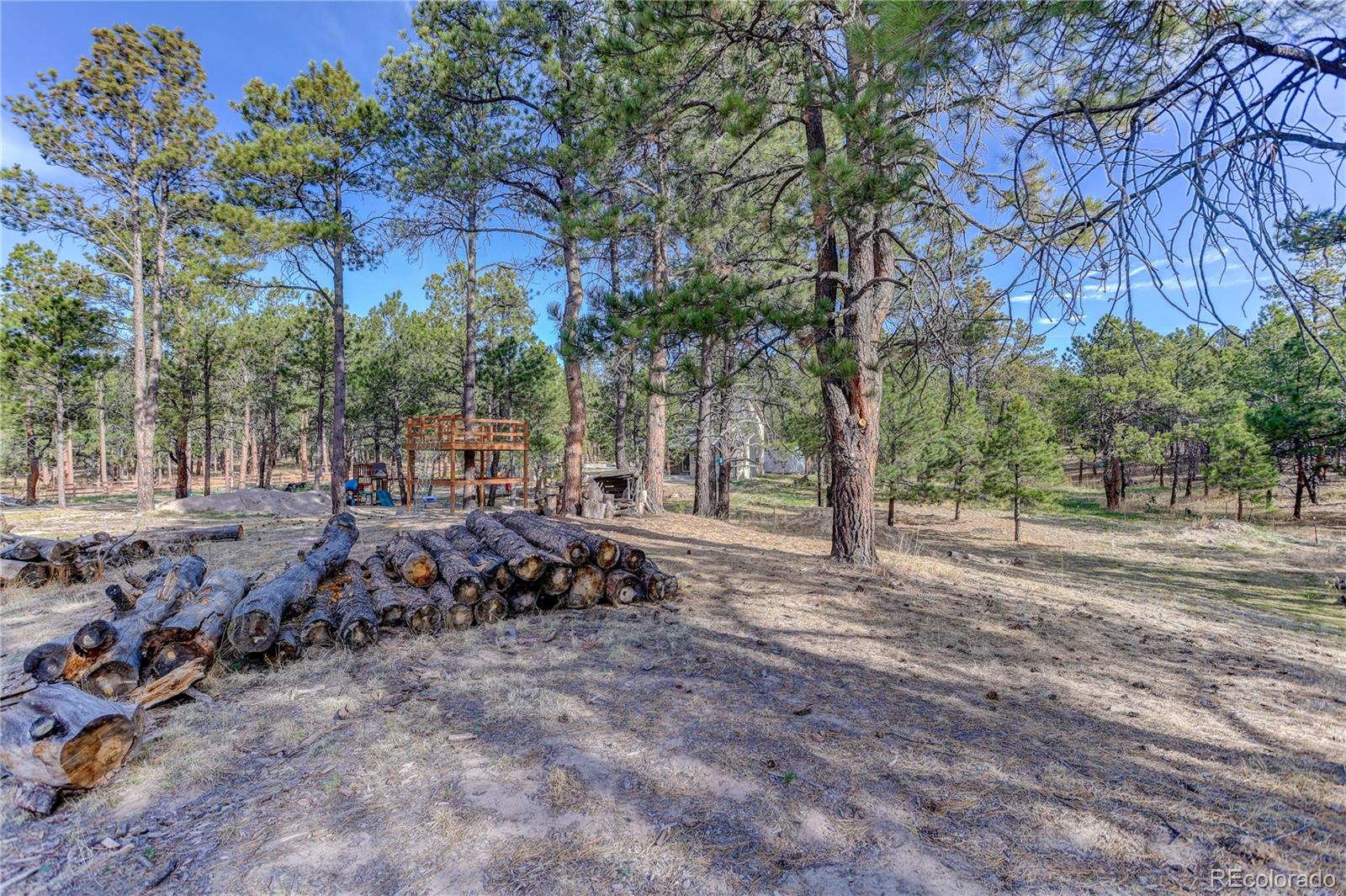 9920 Hodgen Road
