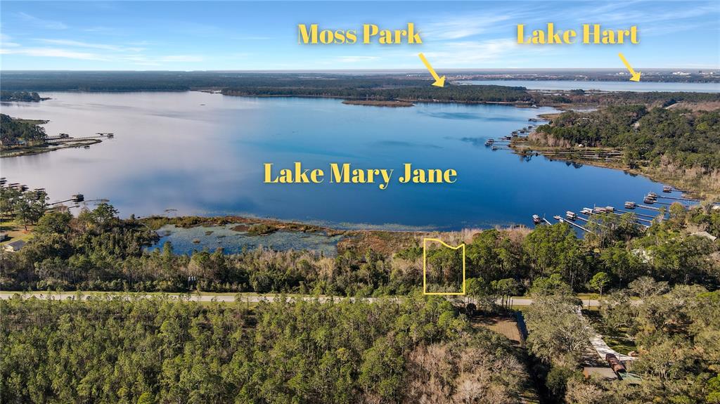 12260 S LAKE MARY JANE