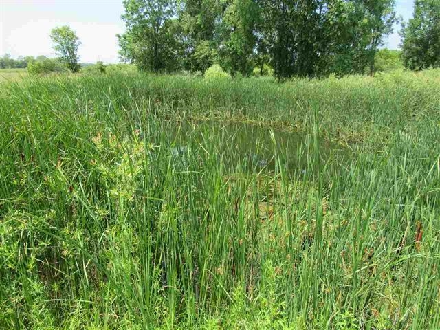 4301 N WHITE HAWK Drive