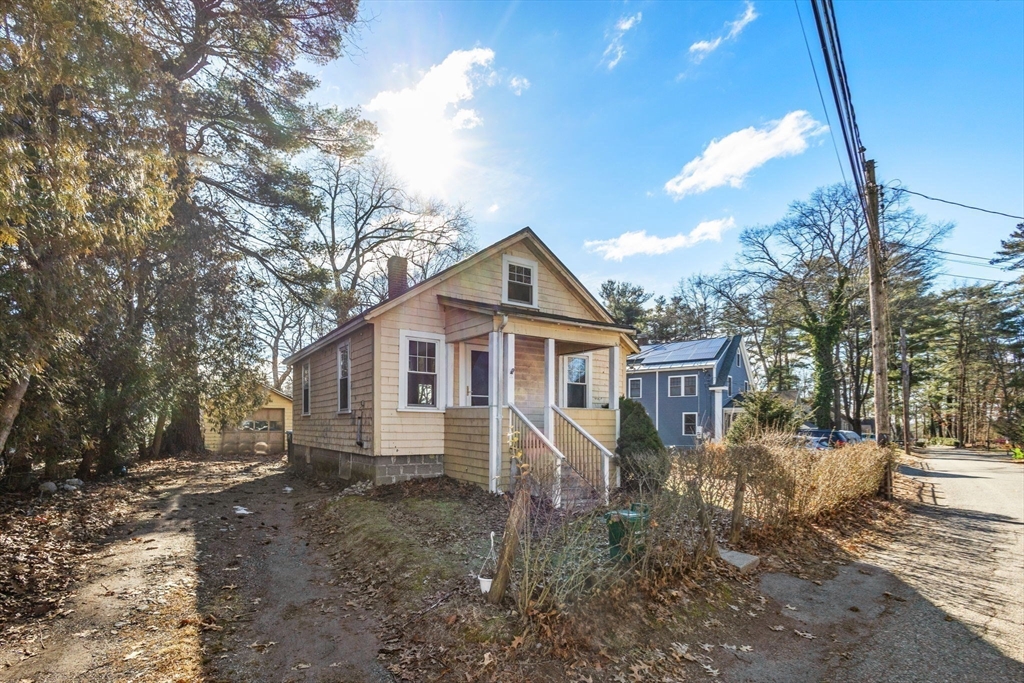 28 Birch