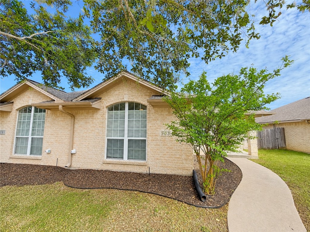 903 Crepe Myrtle