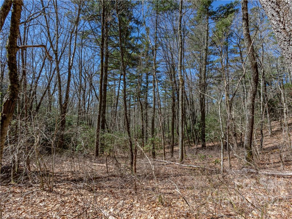 TBD Shortoff Road
