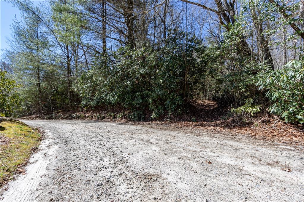 TBD Shortoff Road