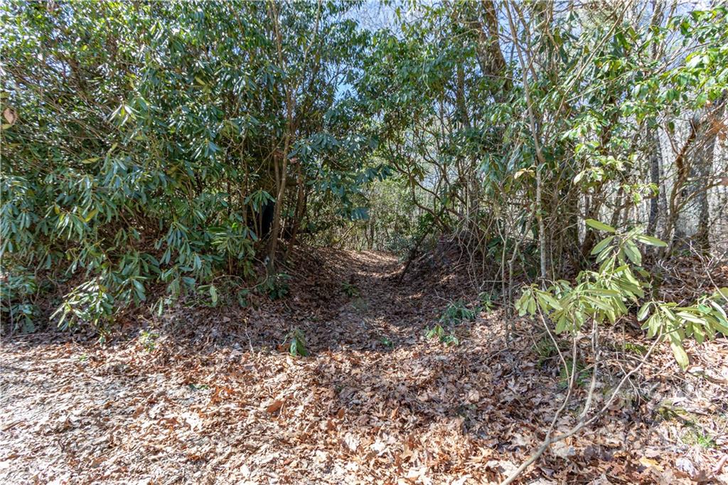 TBD Shortoff Road